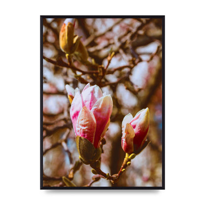 Floral Bud Wall Art - A2 framed