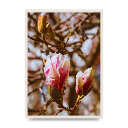 Floral Bud Wall Art - A2 framed