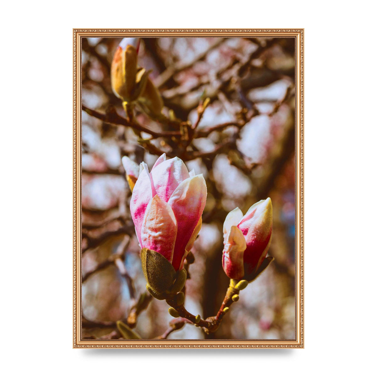 Floral Bud Wall Art - A2 framed