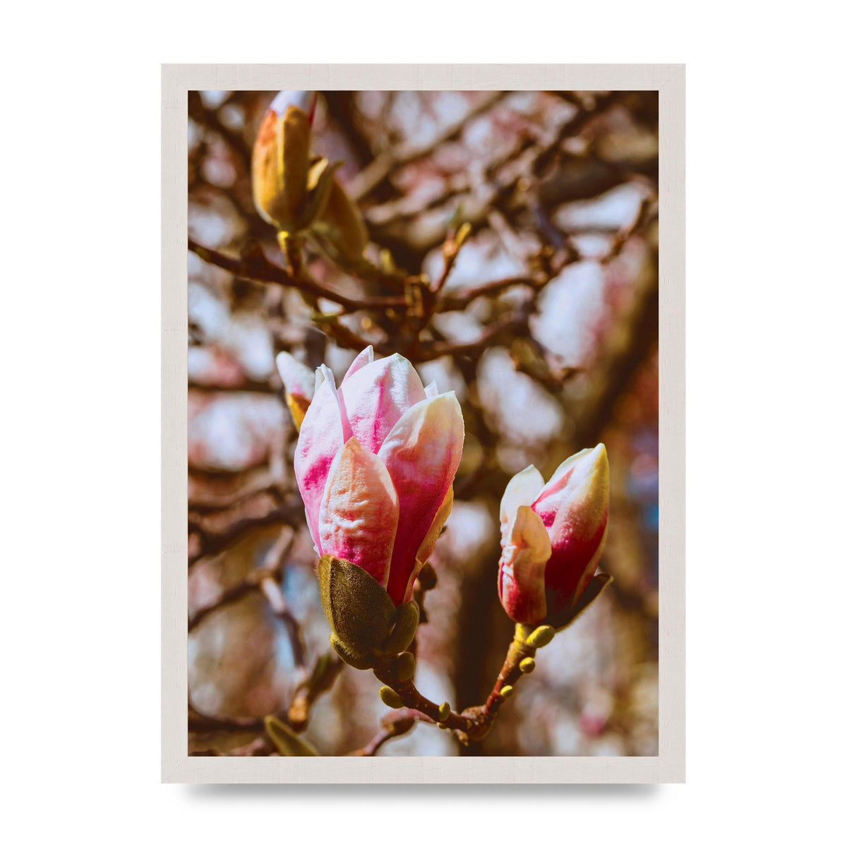 Floral Bud Wall Art - A3 framed