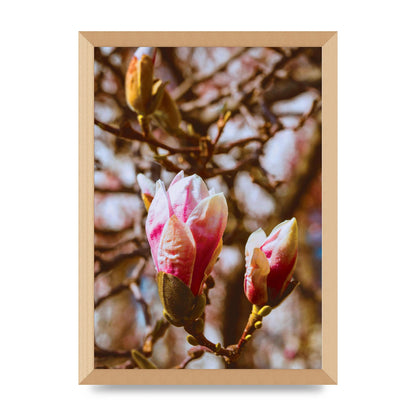 Floral Bud Wall Art - A3 framed