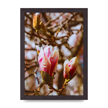 Floral Bud Wall Art - A4 framed