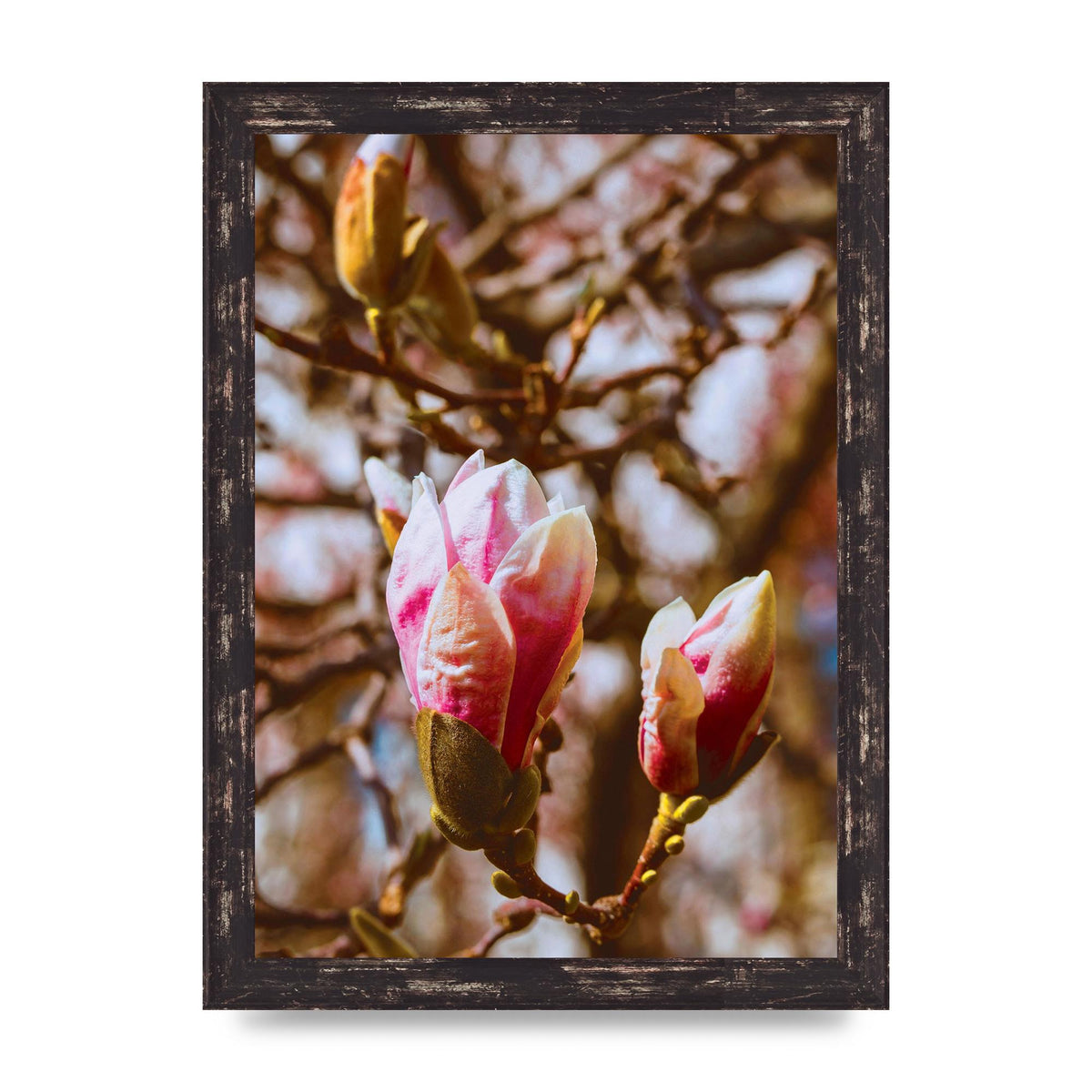 Floral Bud Wall Art - A4 framed