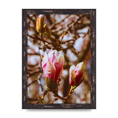 Floral Bud Wall Art - A4 framed