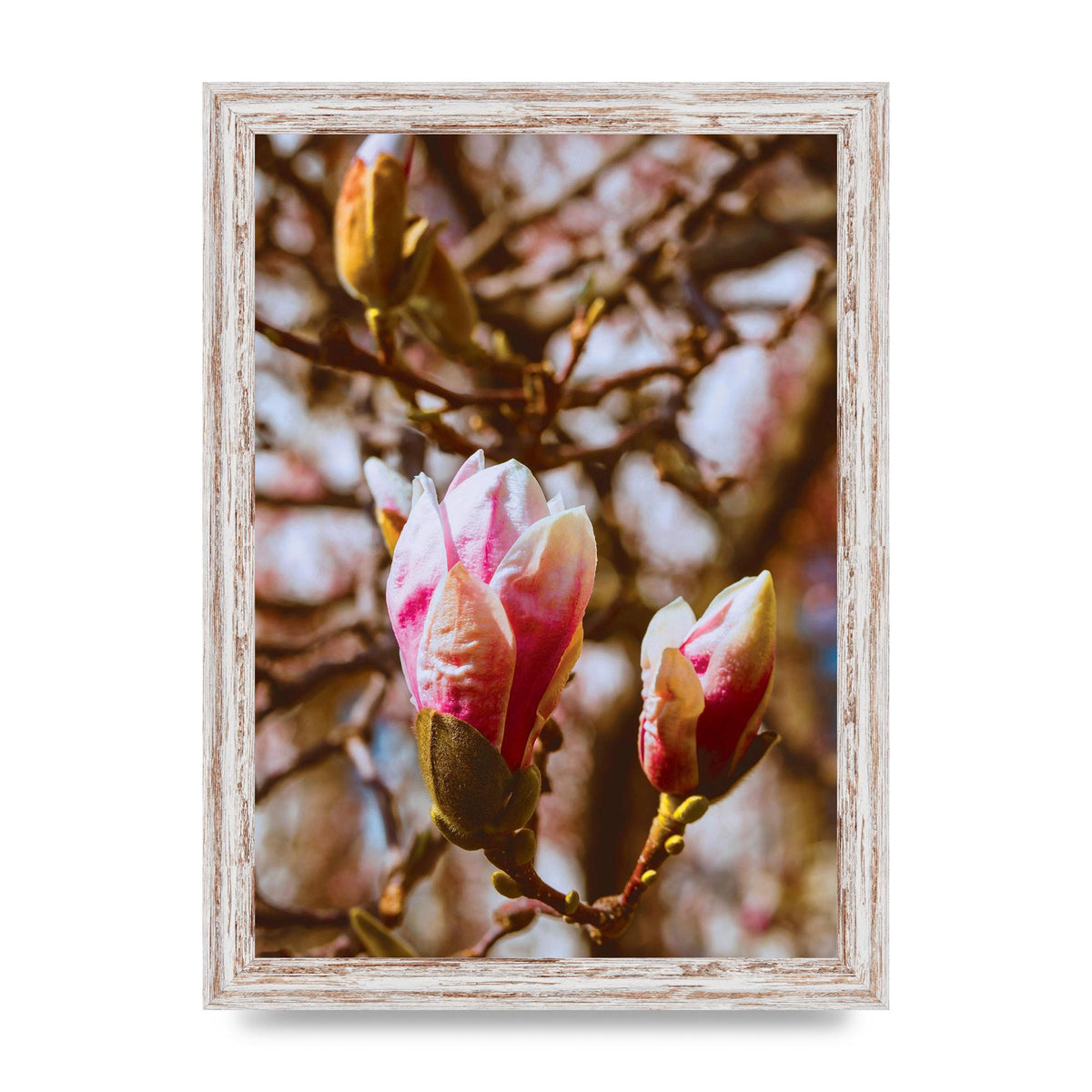 Floral Bud Wall Art - A4 framed