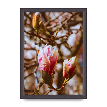 Floral Bud Wall Art - A4 framed