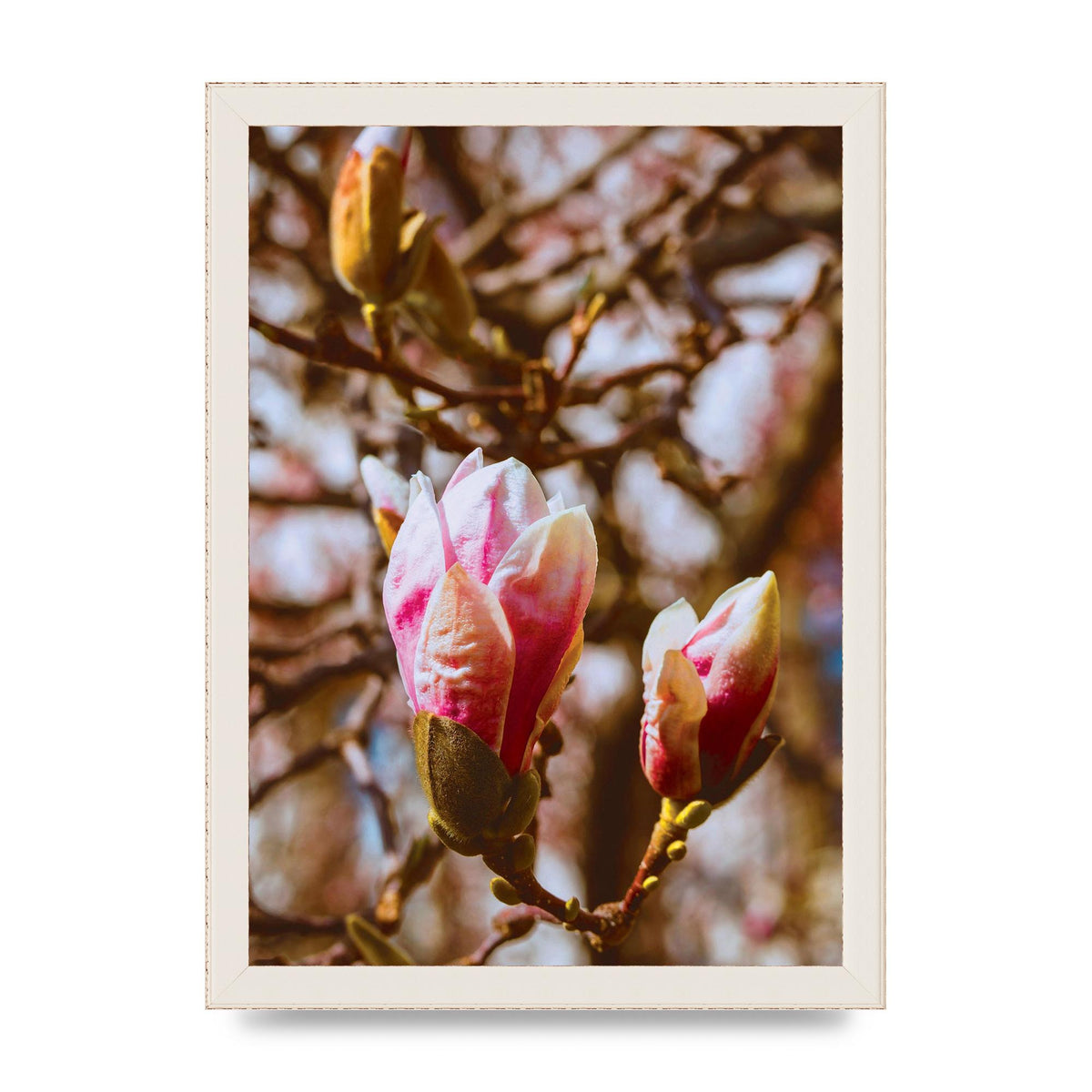 Floral Bud Wall Art - A4 framed