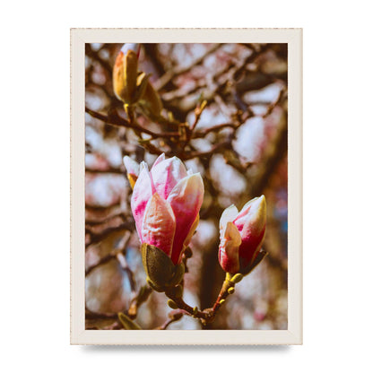 Floral Bud Wall Art - A4 framed