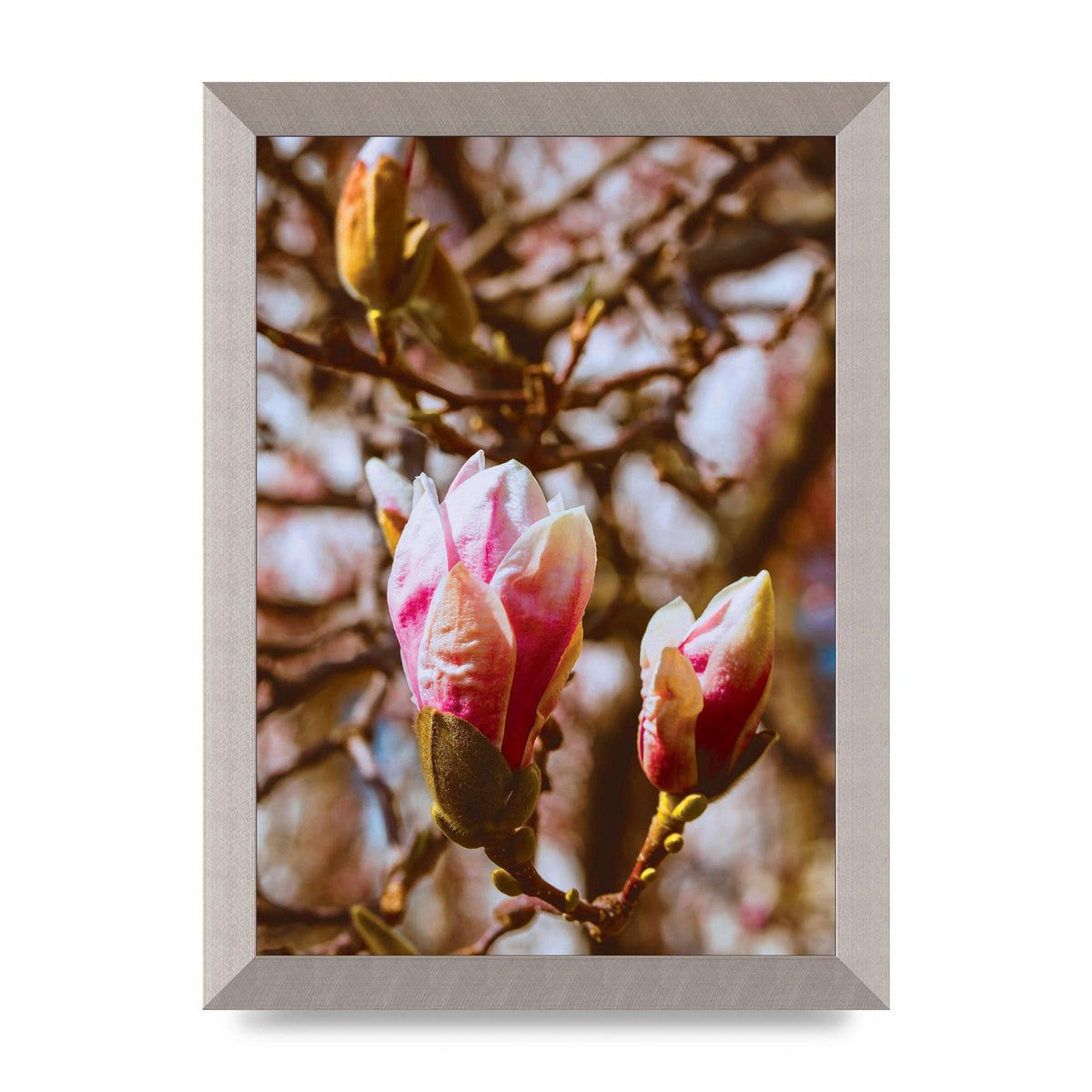 Floral Bud Wall Art - A4 framed
