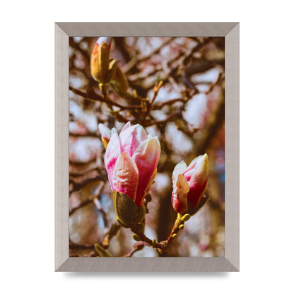 Floral Bud Wall Art - A4 framed