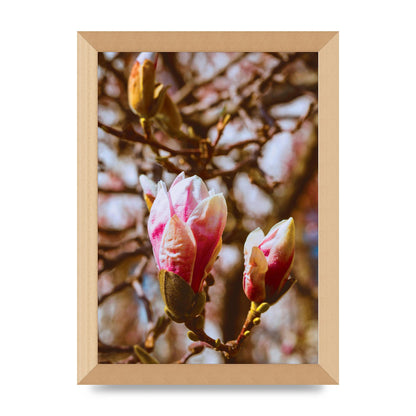 Floral Bud Wall Art - A4 framed