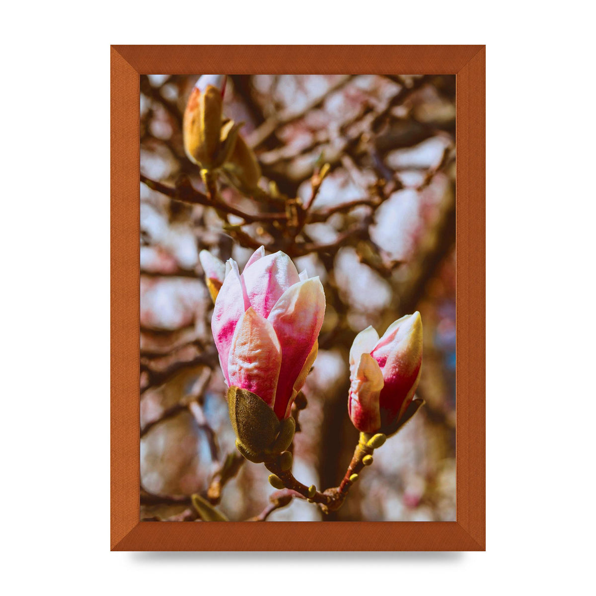 Floral Bud Wall Art - A4 framed
