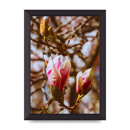 Floral Bud Wall Art - A4 framed