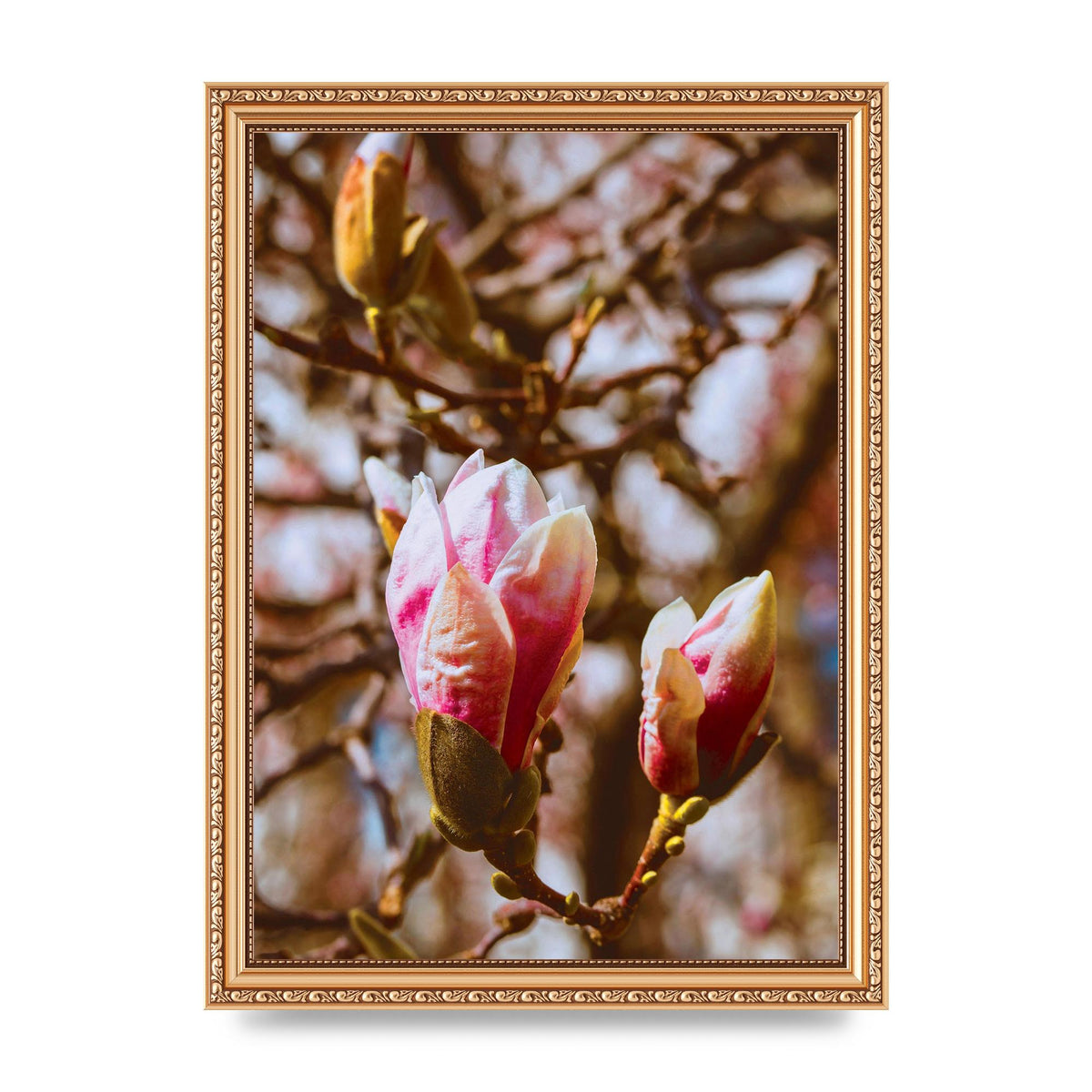 Floral Bud Wall Art - A4 framed