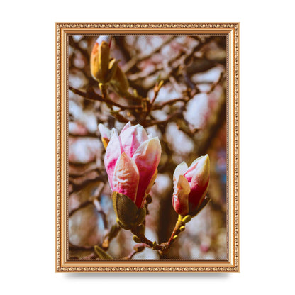 Floral Bud Wall Art - A4 framed