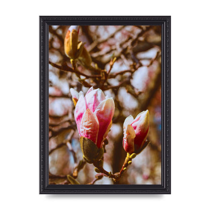 Floral Bud Wall Art - A4 framed