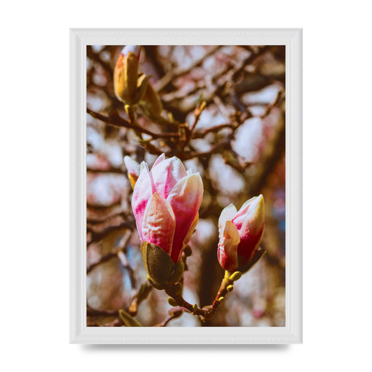 Floral Bud Wall Art - A4 framed