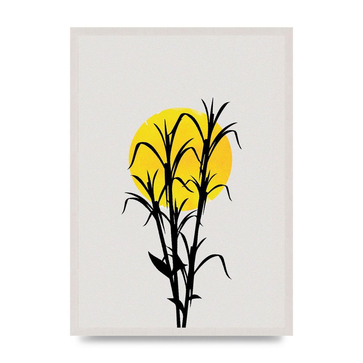 Watercolour Sun Plant print in an A2 white saw cut grain frame