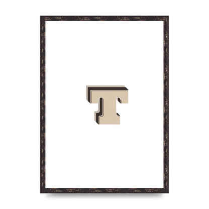 Alphabet Mix Match T" Wall Art - A2 framed
