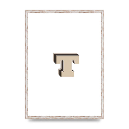 Alphabet Mix Match T" Wall Art - A2 framed