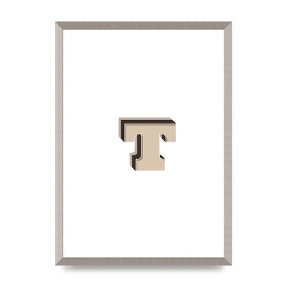 Alphabet Mix Match T" Wall Art - A2 framed