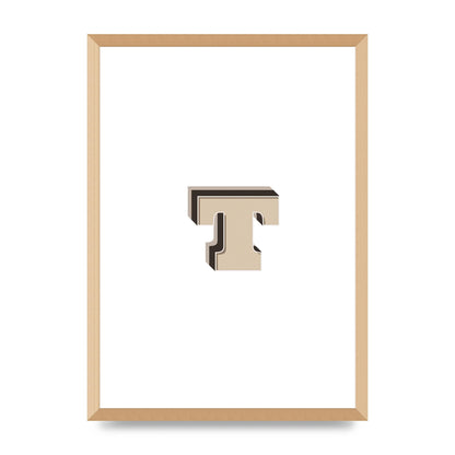 Alphabet Mix Match T" Wall Art - A2 framed
