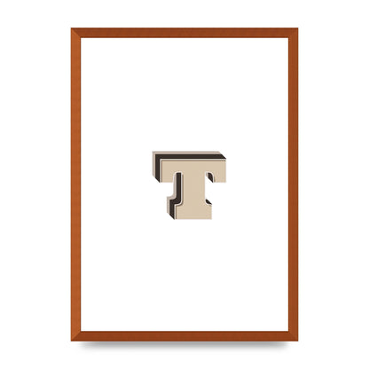 Alphabet Mix Match T" Wall Art - A2 framed