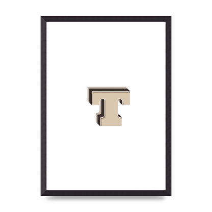 Alphabet Mix Match T" Wall Art - A2 framed