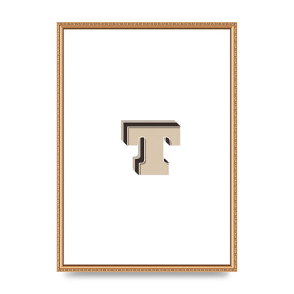 Alphabet Mix Match T" Wall Art - A2 framed