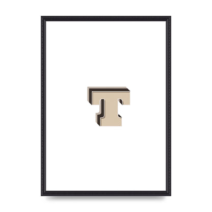 Alphabet Mix Match T" Wall Art - A2 framed