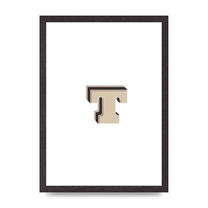 Alphabet Mix Match T" Wall Art - A3 framed
