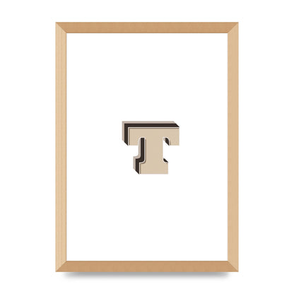 Alphabet Mix Match T" Wall Art - A3 framed