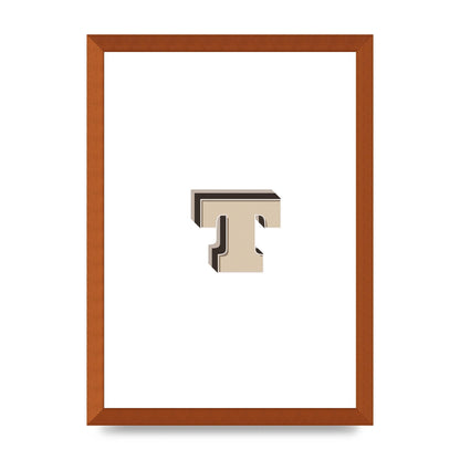 Alphabet Mix Match T" Wall Art - A3 framed