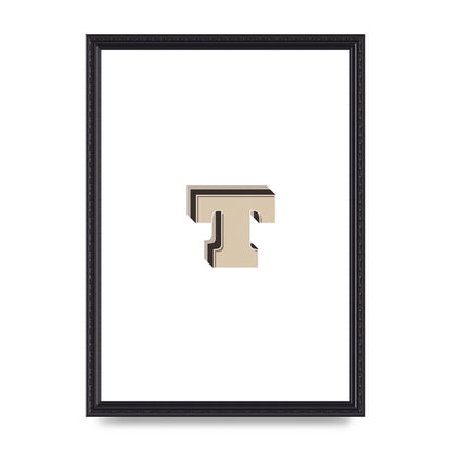Alphabet Mix Match T" Wall Art - A3 framed