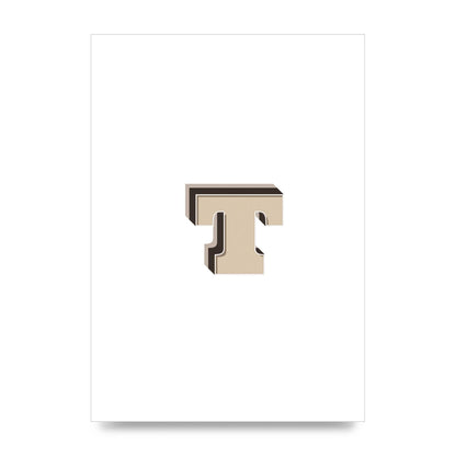 Alphabet Mix Match T" Wall Art - unframed print