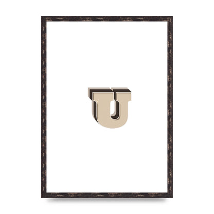 Alphabet Mix Match U" Art For The Home - A2 framed