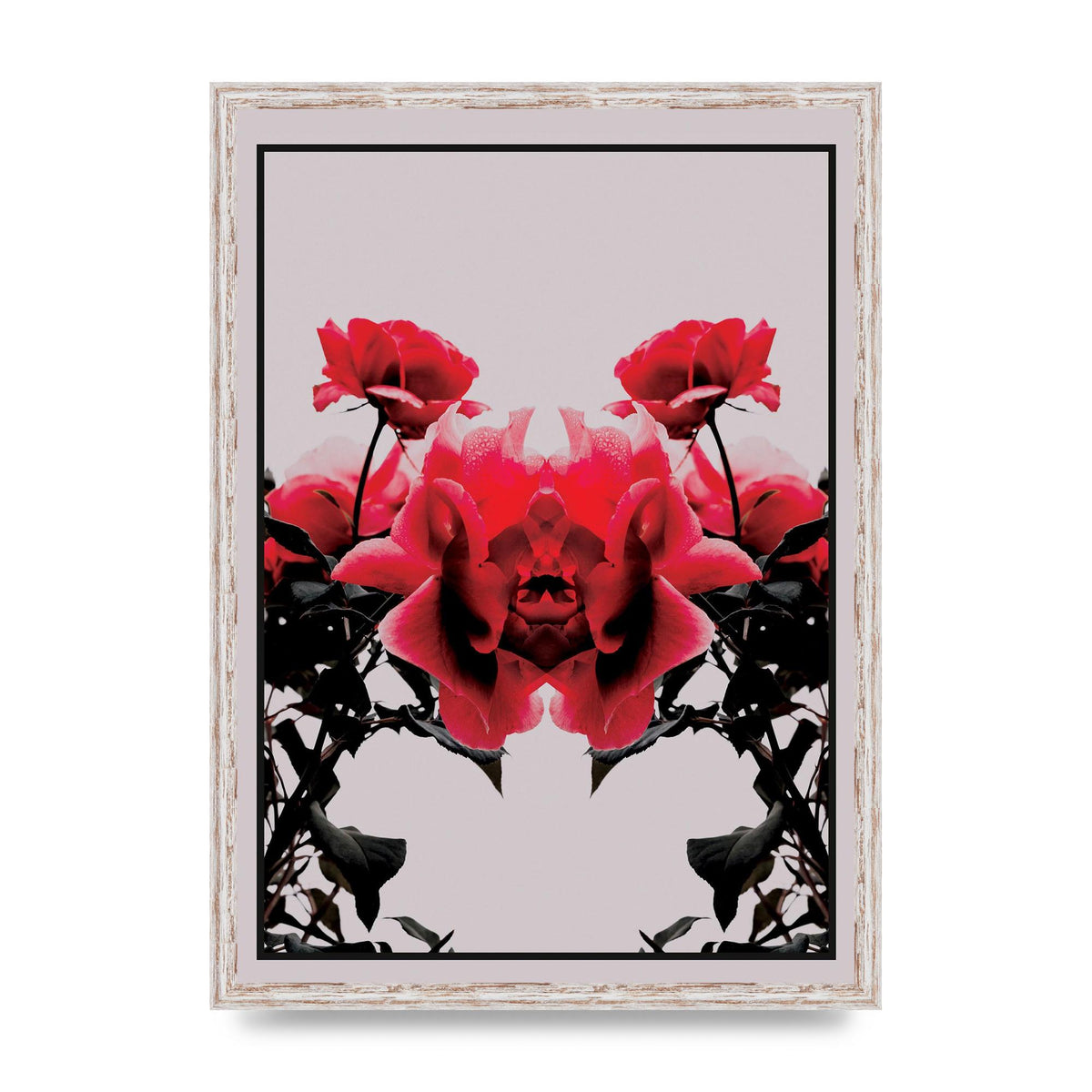 Symmetrical Flower One Wall Art - A2 framed