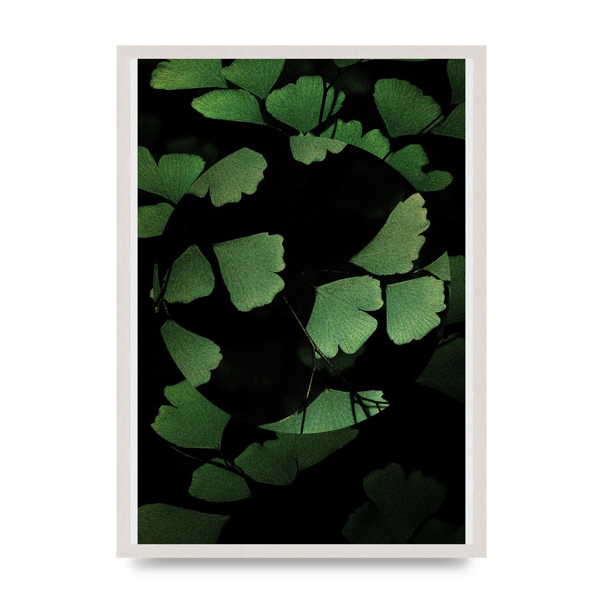 Leaf Disc Wall Art - A2 framed