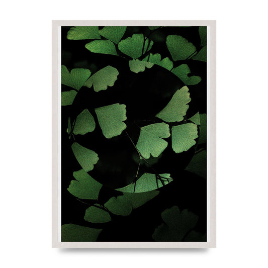Leaf Disc Wall Art - A2 framed
