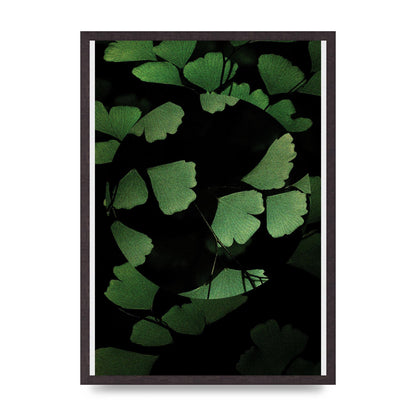 Leaf Disc Wall Art - A2 framed