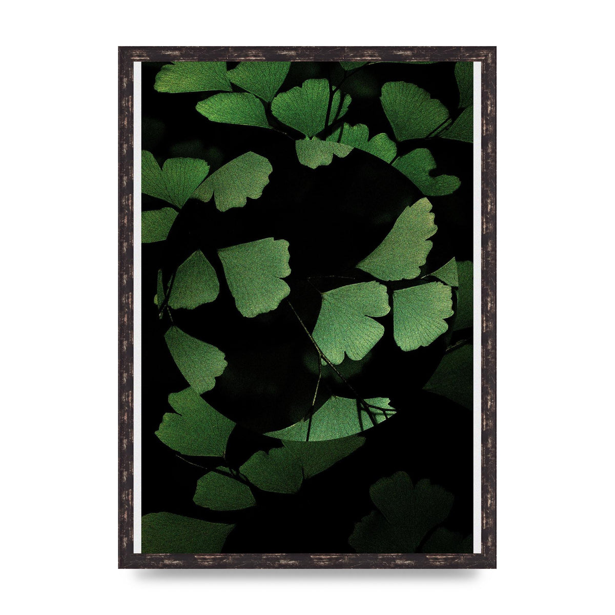 Leaf Disc Wall Art - A2 framed