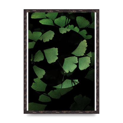 Leaf Disc Wall Art - A2 framed