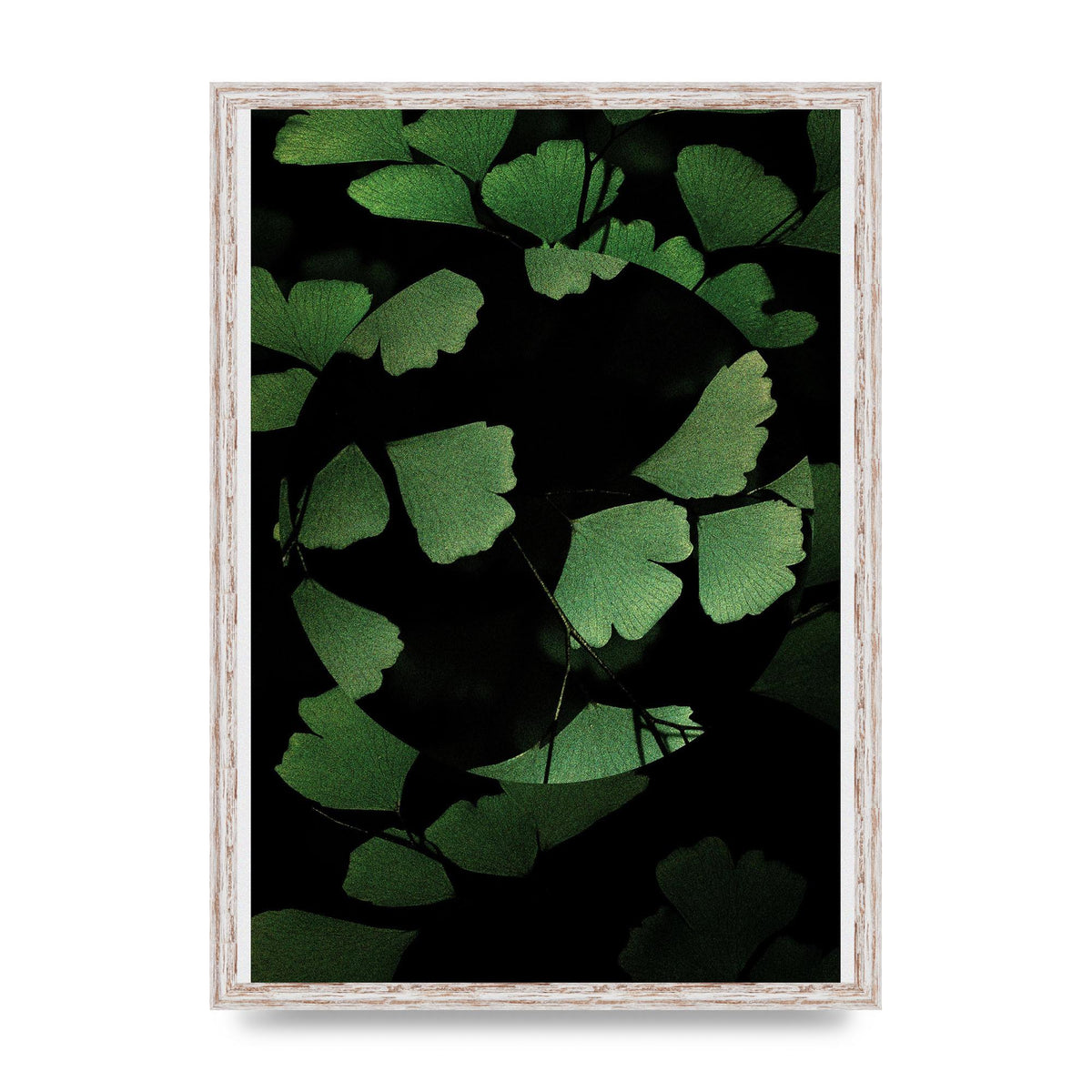 Leaf Disc Wall Art - A2 framed
