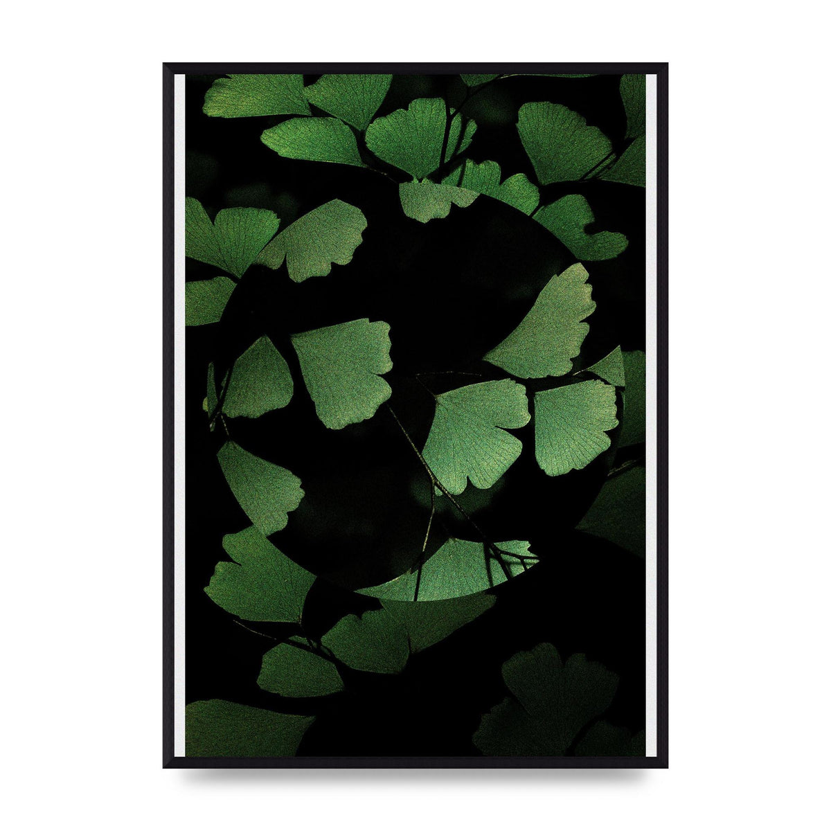 Leaf Disc Wall Art - A2 framed