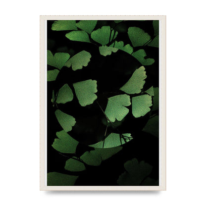 Leaf Disc Wall Art - A2 framed
