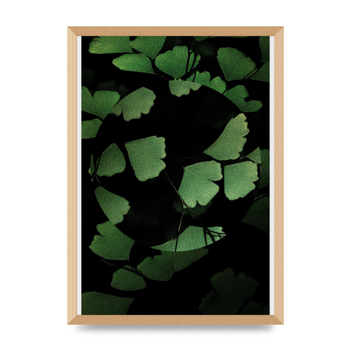 Leaf Disc Wall Art - A2 framed