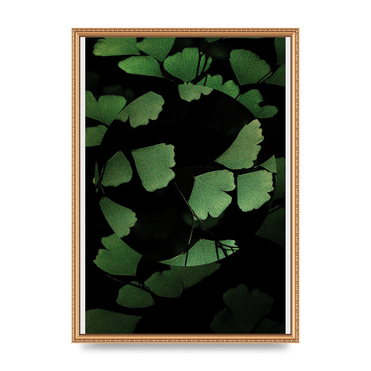 Leaf Disc Wall Art - A2 framed