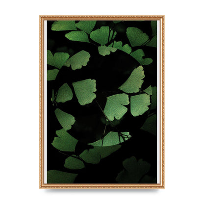 Leaf Disc Wall Art - A2 framed