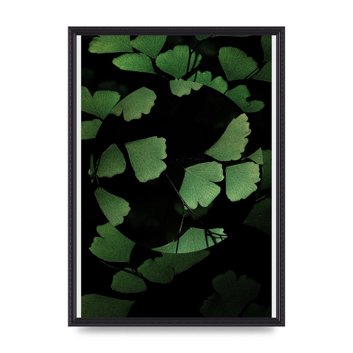 Leaf Disc Wall Art - A2 framed