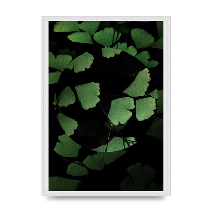 Leaf Disc Wall Art - A2 framed